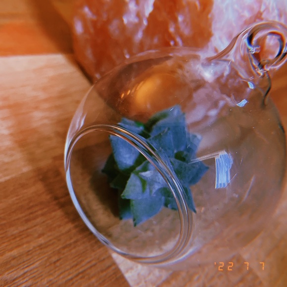 Hanging Glass Globe Terrarium/ Tea Light Candle Holders - Picture 6 of 15